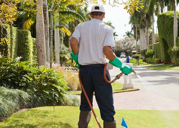 About Chaffee NY Pest Control Pros